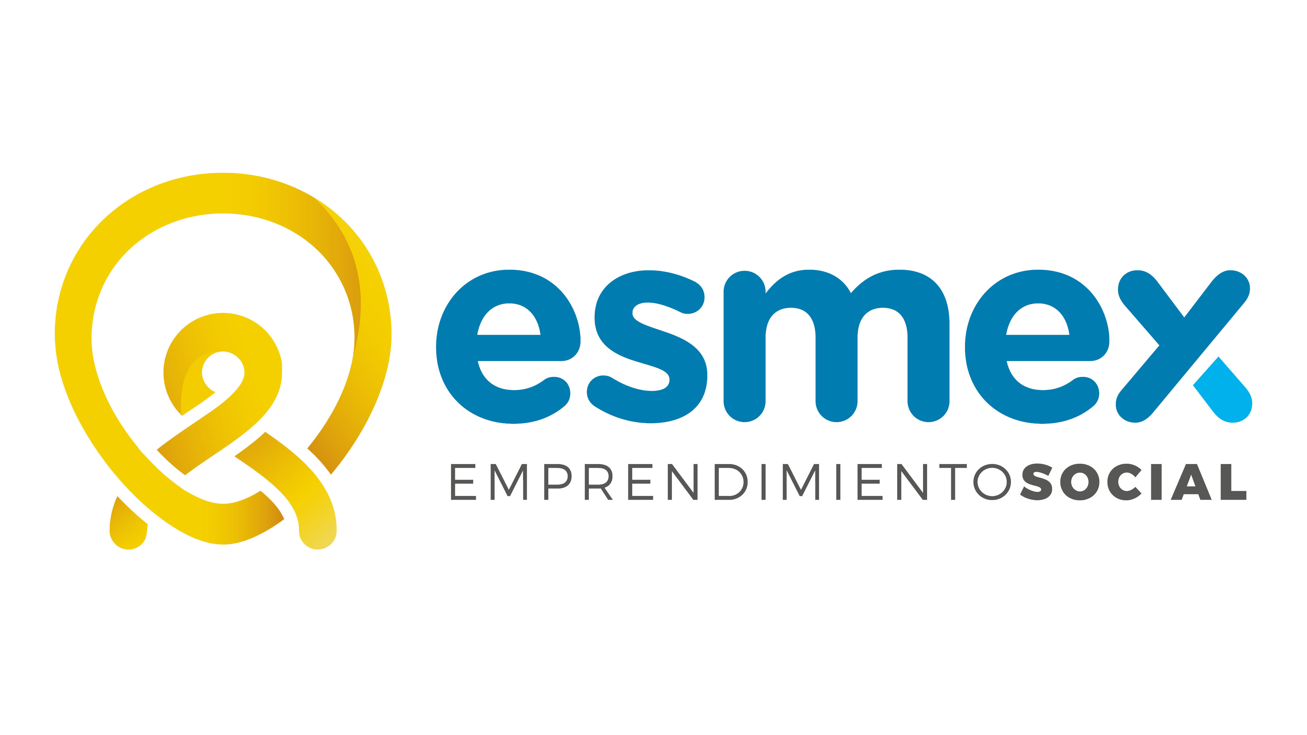 ESMEX__Logos_2019_esmex_horizontal